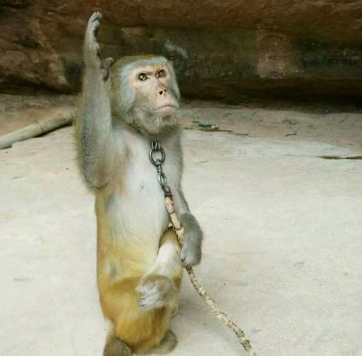 花果山水帘洞一日游