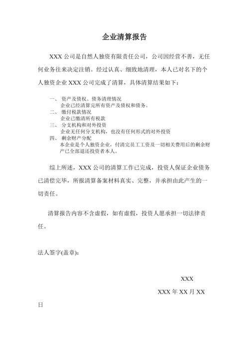 自然人(个人)独资企业清算报告模版