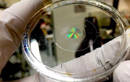 哈佛大学研究人员创造了一种电子假眼