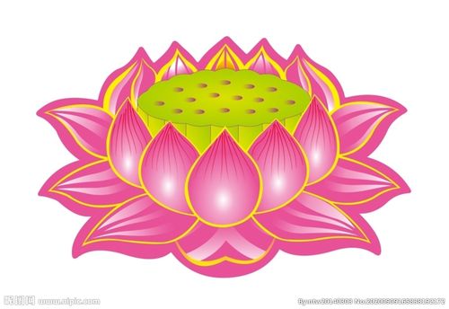 莲花 上贰设计图__广告设计_广告设计_设计图库_昵图.