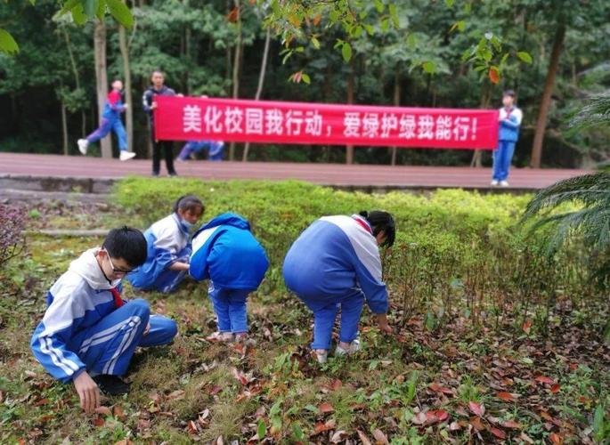 植树节|又是一年芳草绿 凤冈处处植树忙