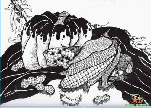 线描--蔬菜写生