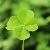 2020带来好运的头像女人【点击鼠标右键下载】