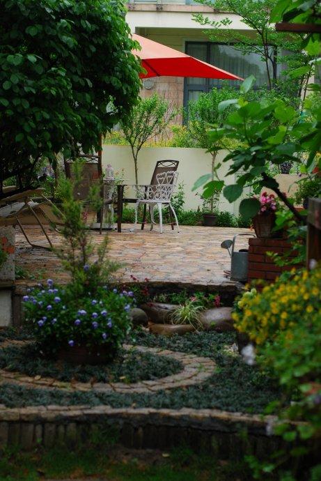 【私家花园】庭院深深---燕子家的小院