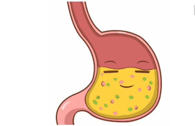 胃部胀气好难受,天然"养胃王"食物,坚持每天吃,远离胃病困扰