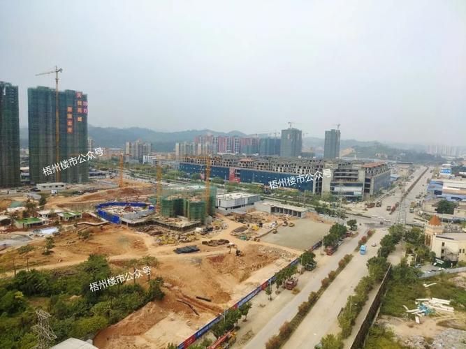 营销中心▼样板间▼周边楼盘有天悦花城,苍海一号,钱隆世家,城际空间