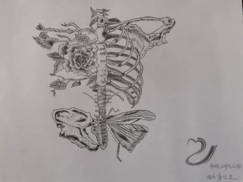 超有料我院人体解剖学绘图大赛作品展