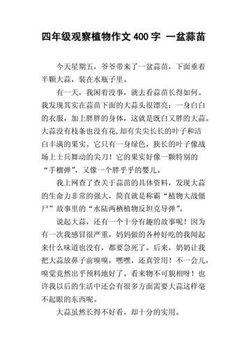 四年级观察植物作文400字 一盆蒜苗.docx