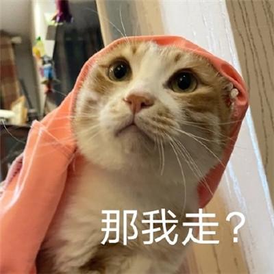 最近非常流行的那我走伤心表情包