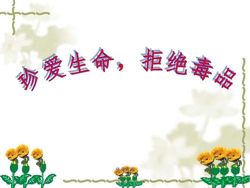 禁毒教育ppt课件