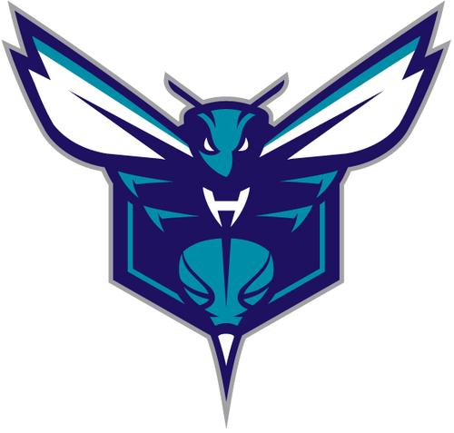 蓝球队vi设计改造nba黄蜂队