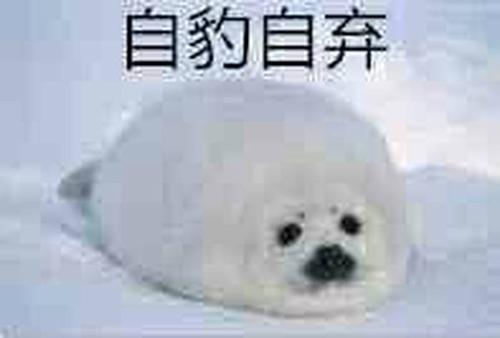 海豹表情包