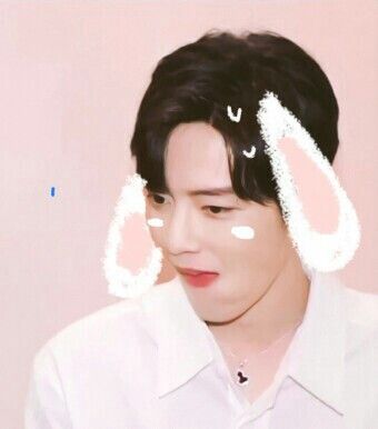 王一博肖战卡通头像