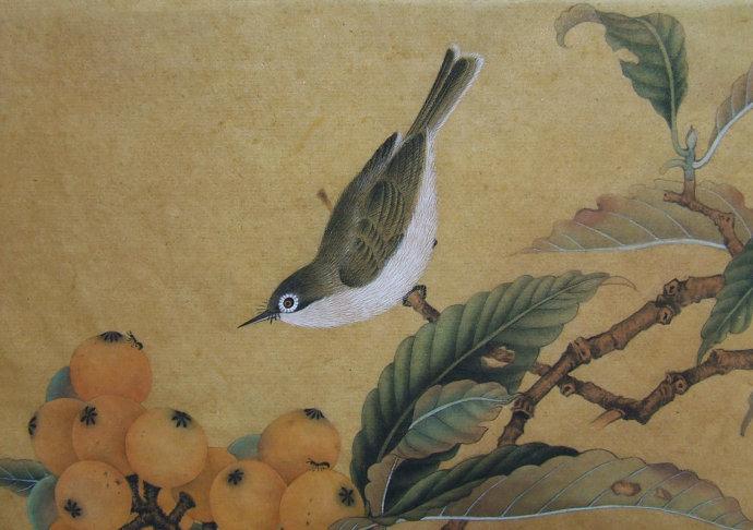 [转载]临宋枇杷绣眼图