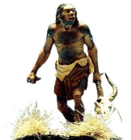 古代猿人是怎么进化成现代人的哪?猿人为什么那么聪明