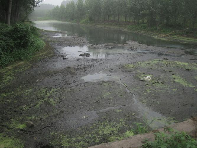 蒋高明乡村系列调查:垃圾包围农村 金线河变臭水沟
