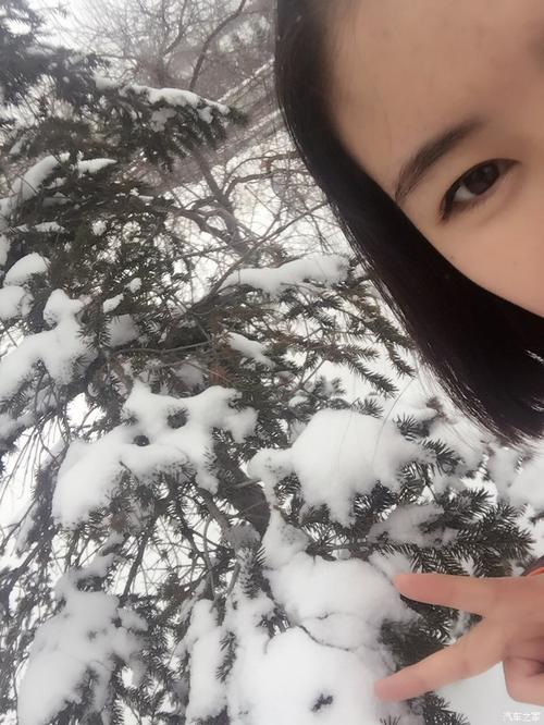 大雪压青松 青松挺且直 要知松高洁 待到雪化时 版主求精华