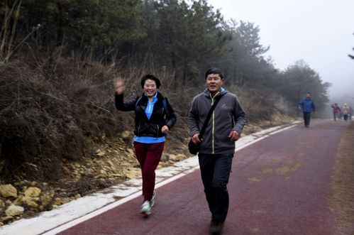晋普山迎新年徒步赛取得圆满成功