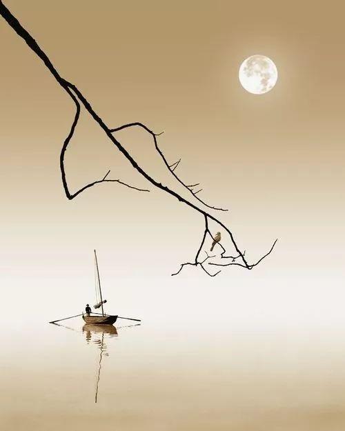 他用镜头创作出了中国最美的水墨丹青,美到出尘.