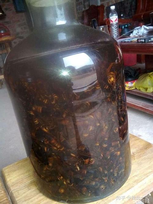 补肾壮阳酒是药酒的一种,是根据它的功效和作用得名,其主要的中药材