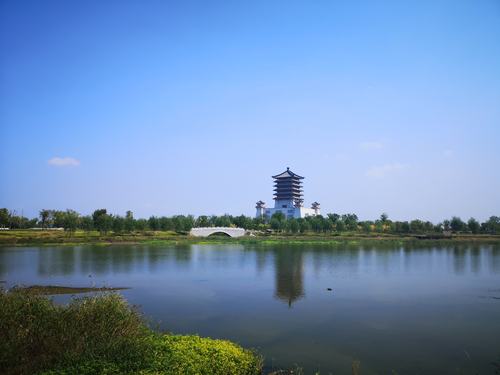 《大汶河湿地公园》