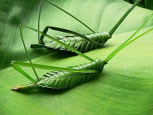 草编,竹编,棕编,藤编,柳编制作教程(可以制作各种可爱的小动物噢) 叶