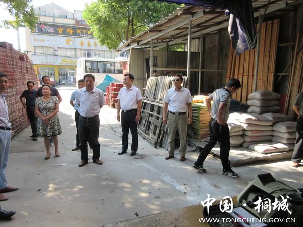 桐城市新渡镇文明创建互"挑刺",促整改