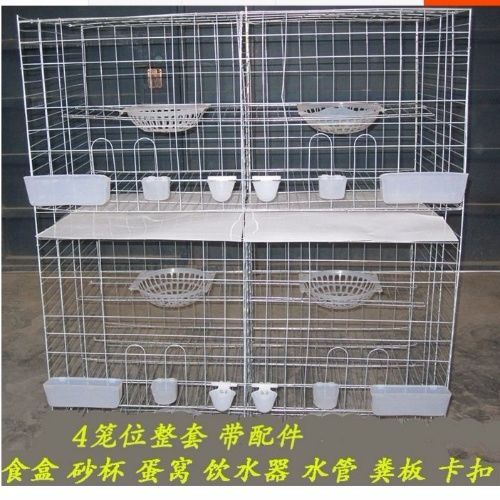 加粗配对笼鸽子笼养殖笼12位鸽笼子鸽笼种鸽笼配对笼