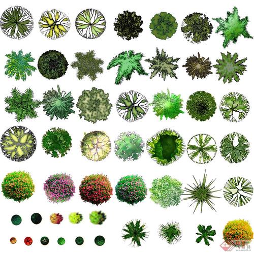 psd格式的彩色植物平面图