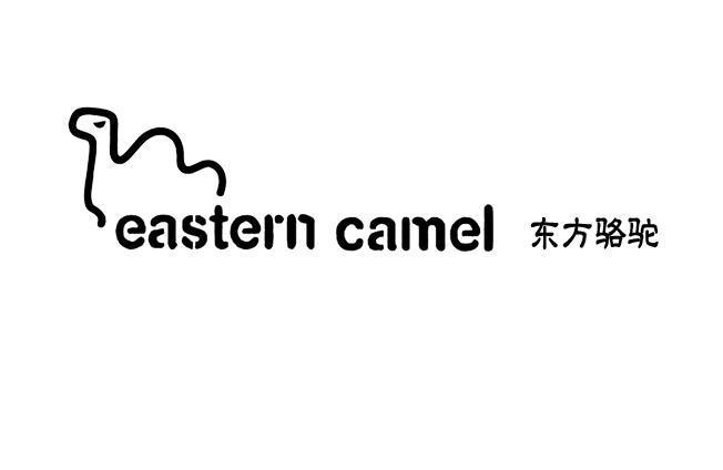福建东方骆驼股份有限公司