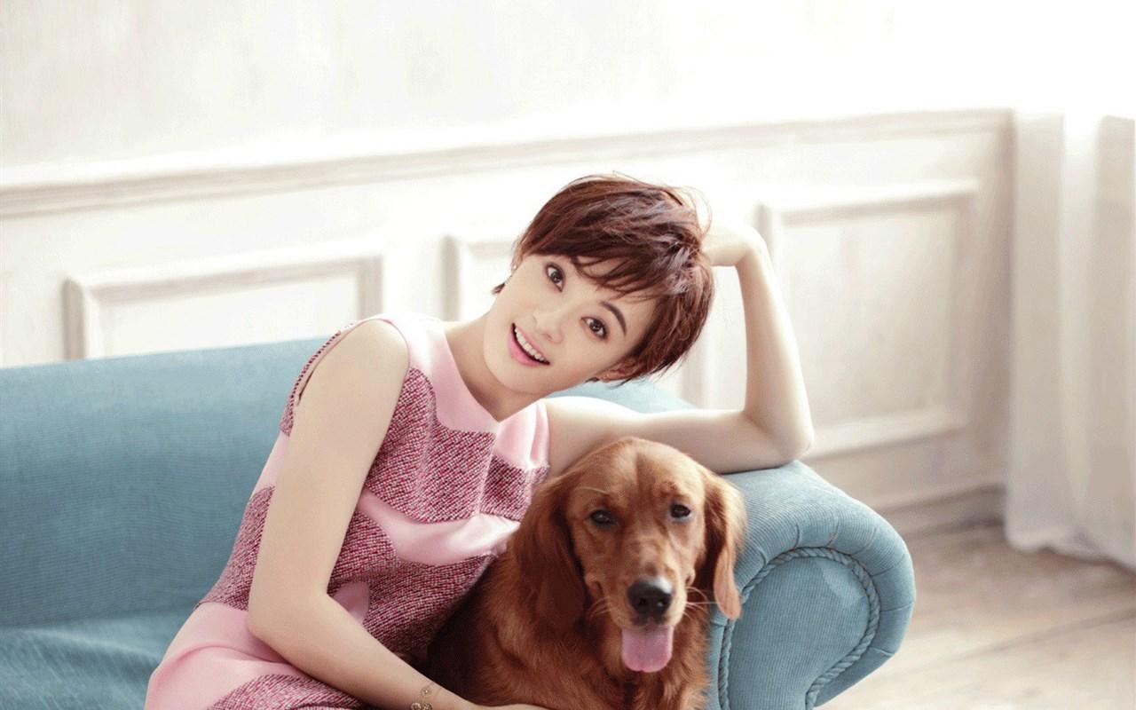 孙俪气质写真壁纸_短发气质女神