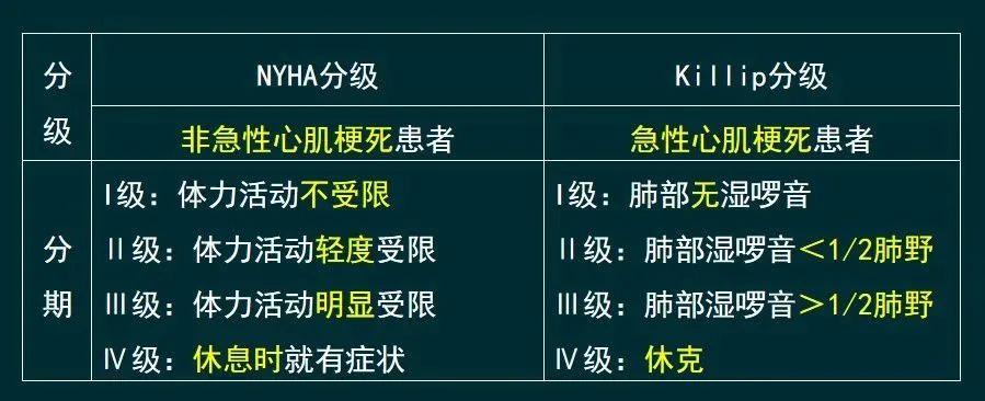 病例分析《循环系统》公式模板