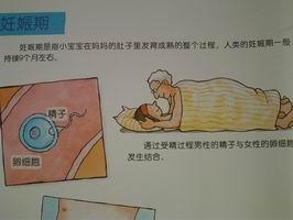 综合活动:我从哪里来