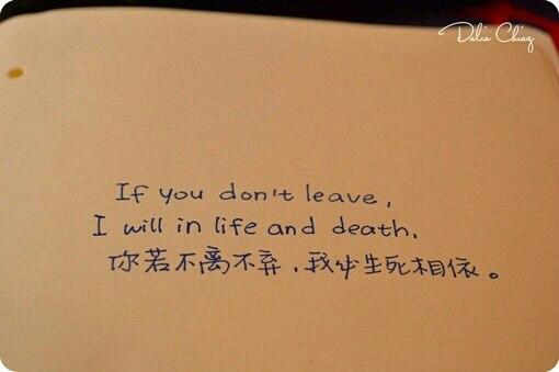 不离不弃相守一生图片