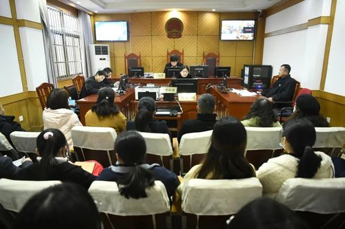 感受法院庭审真实的样子——巢湖法院开展"公众开放日"活动