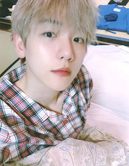 边伯贤 富川一枝花