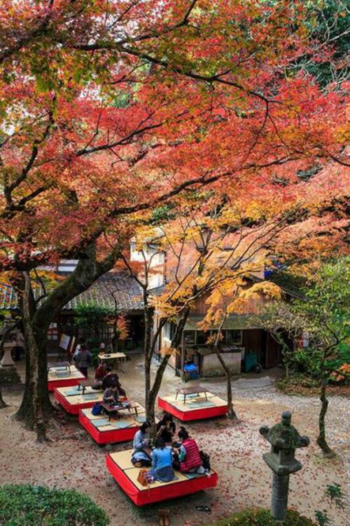 【日本福冈】太宰府天满宫:寻访日本学问之神