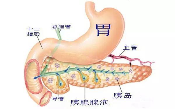 你可能是胰腺出问题了!