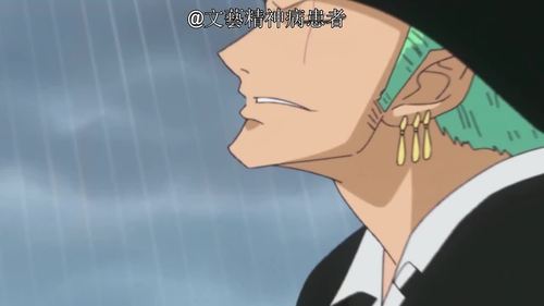 索隆搞笑表情包你还知道哪些