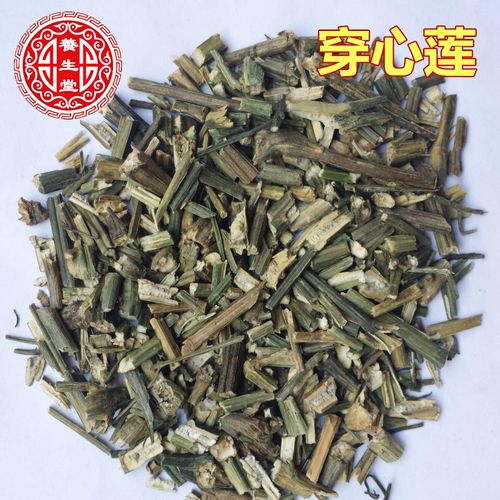 穿心莲中药材 500g 野生干穿心莲 新货穿心莲