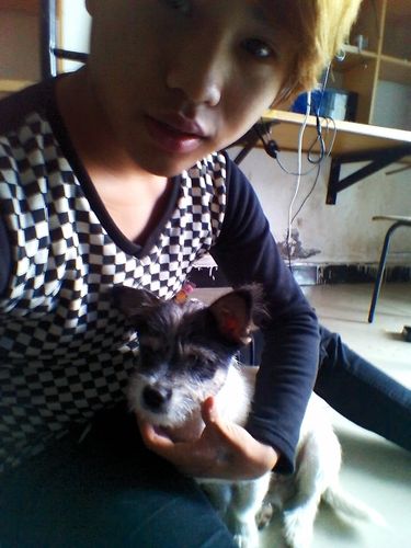 请问我家狗蛋是什么串出来的