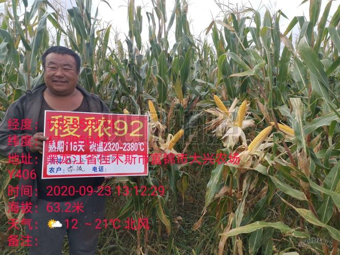 稷秾92总代理 写美篇品种适宜区碱一一 黑龙江省,内蒙,吉林玉米早熟