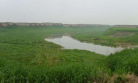 沉湖湿地