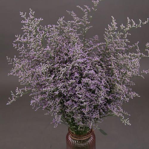 水晶草的寓意和象征