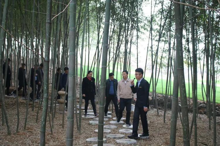 "耕廉于心 践廉于行"——江宁交通建设集团纪委组织交