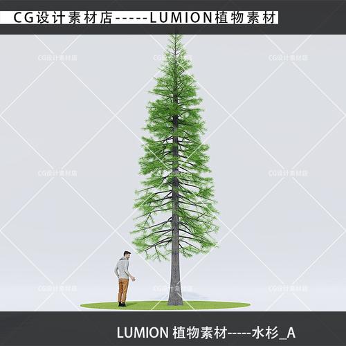 0|8.0 精品植物扩展素材景观树水杉树a b