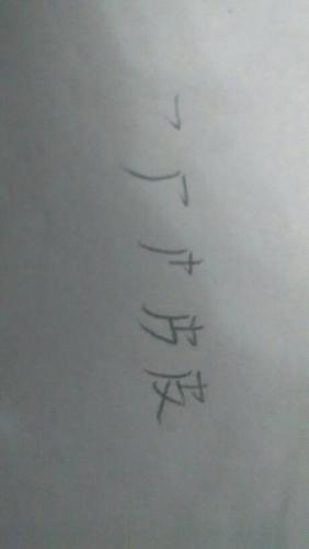 请问谁知道"皮"的笔顺?
