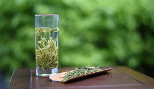 用这个技巧泡绿茶和白茶,让你的茶好喝n倍!