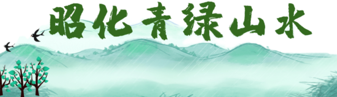 还看今昭61创建天府旅游名县昭化在行动昭化版的只此青绿可有惊艳到