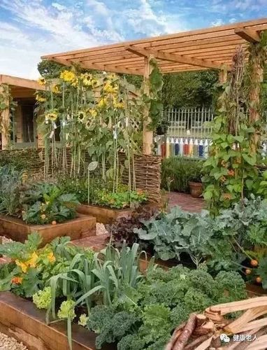 愿你退休后的养老生活,有个农家小院可忙活,最自然,最